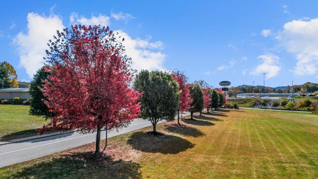 Mountain Inn & Suites Flat Rock photo