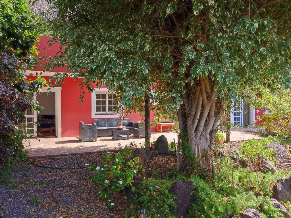 una casa roja con un árbol delante en La Casita, en Agulo