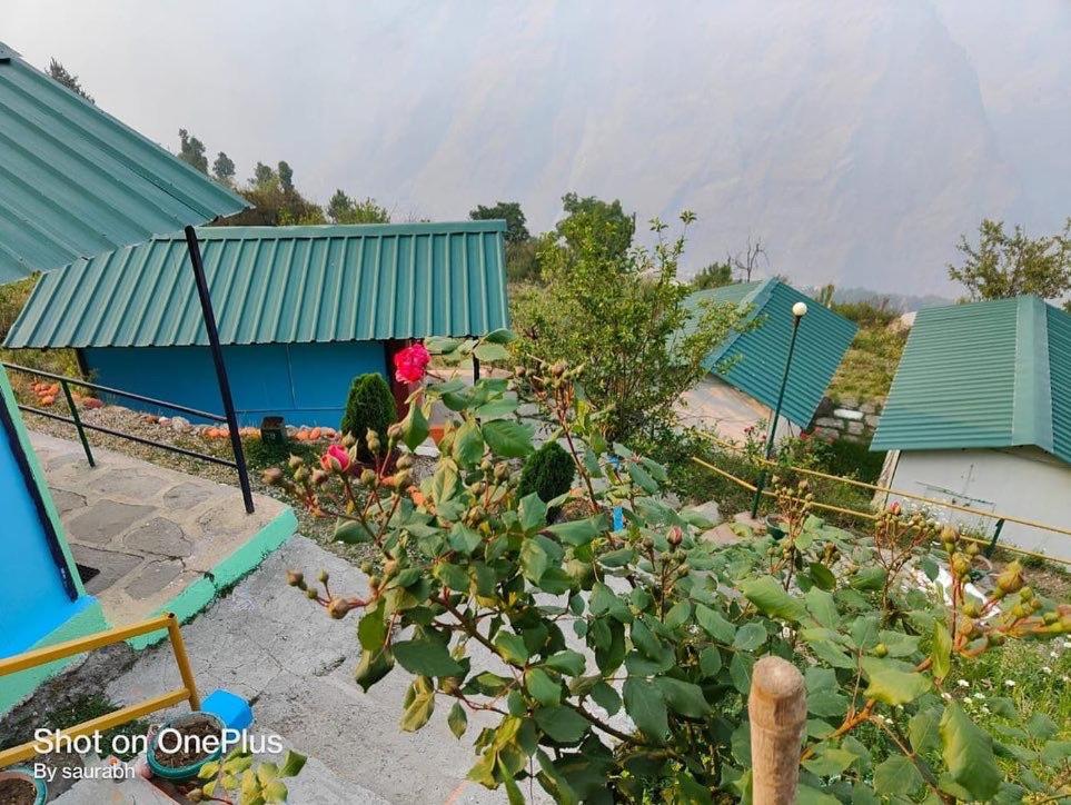 einen Garten vor einem Haus mit einer Blume in der Unterkunft Auli Eco Nature Resort in Jyotirmath