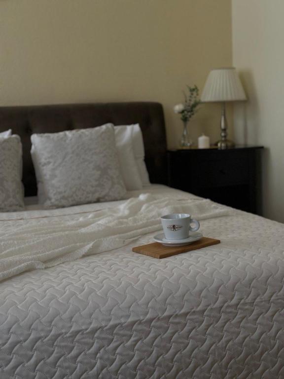 Postel nebo postele na pokoji v ubytování Apartamenti DVINSKA