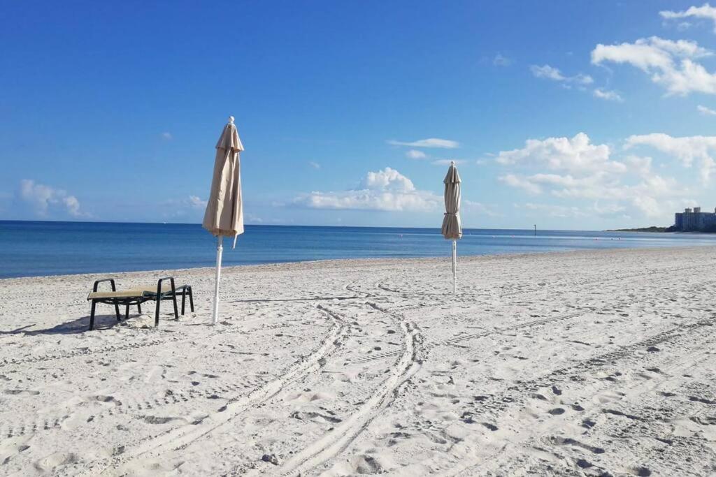 邁阿密的住宿－KEY BISCAYNE BEACH VACATION #3，海滩上的两把遮阳伞和一张长凳