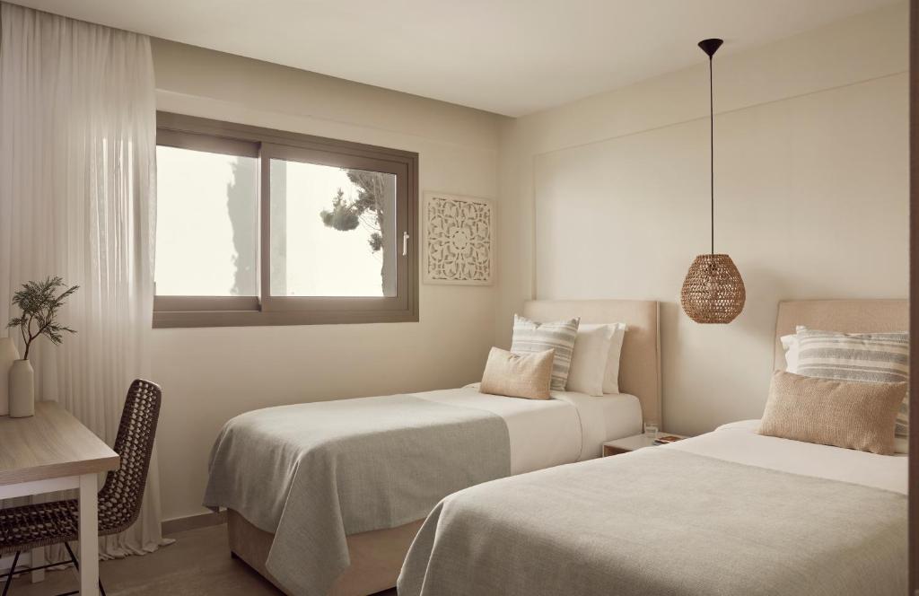 Mare Paphos - Suite De Una Habitación Vista Interior
