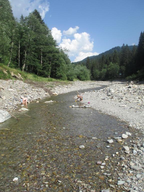 Příroda nedaleko apartmánu