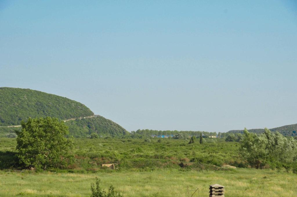 Peisaj natural din apropierea acestei pensiuni