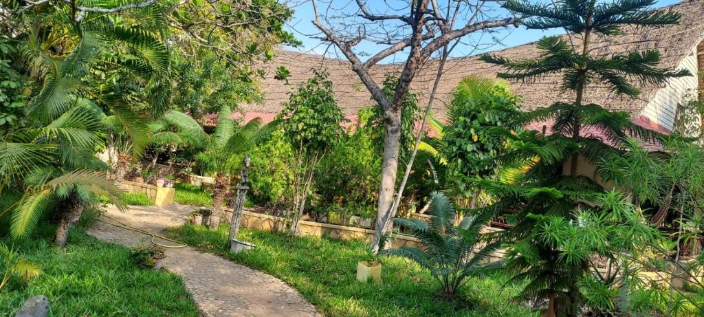 a garden with palm trees and a house at Villa Befasika in Toliara