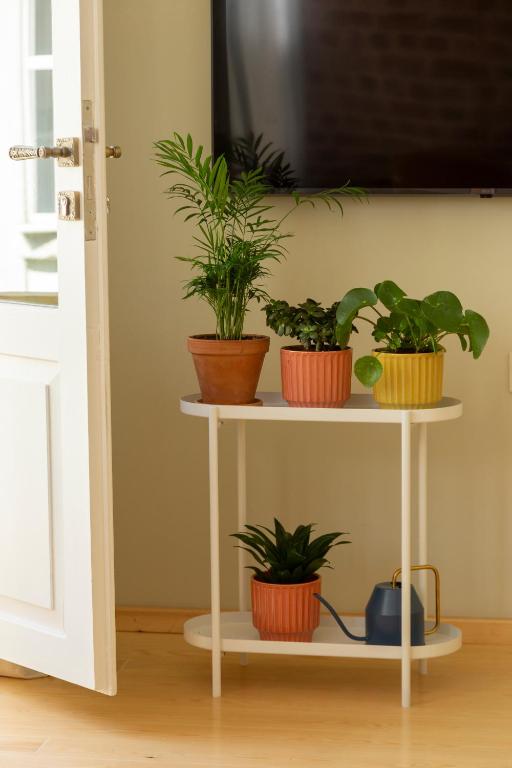 TV a/nebo společenská místnost v ubytování Lemon Apartments