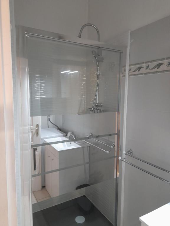 Koupelna v ubytování T2 Charmant duplex independant Blagnac