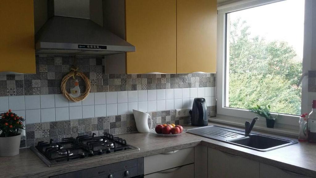 Кухня или кухненски бокс в Exklusive, gepflegte 2-Zimmer-Wohnung mit Balkon und Küche/Bad in Ludwigsburg