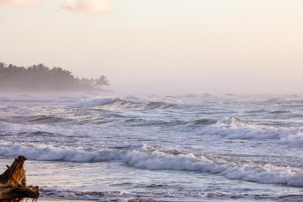 Casa aconchegante na Bahia para viver uma experiência de hospedagem pertinho da praia - Maison D'une Chambre