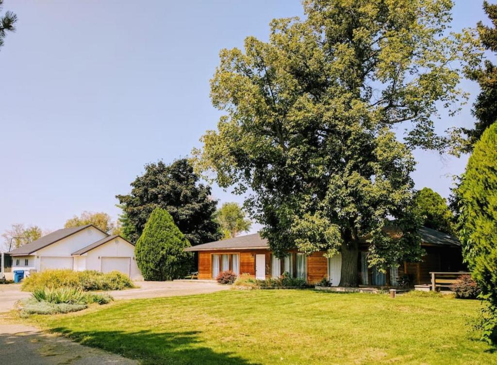 una casa con un gran árbol en el patio en Wingate - Meridian, Cozy Acreage in the heart of the city, en Meridian