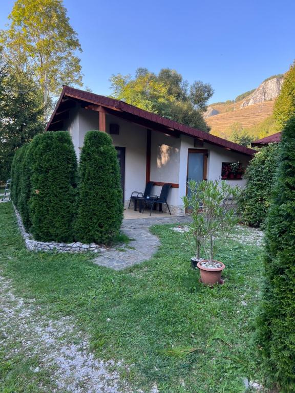 ein Haus mit Hecken vor einem Hof in der Unterkunft Studiouri Valisoara in Vălişoara