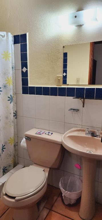 Koupelna v ubytování Hotel Alsacia