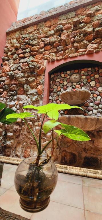 Fotografie z fotogalerie ubytování Hotel Alsacia v destinaci Tegucigalpa