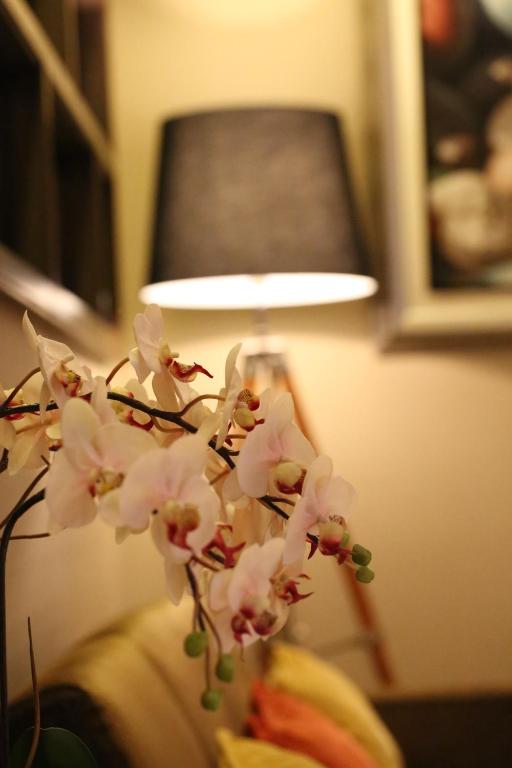 The Dawin Hotel - Resim 35