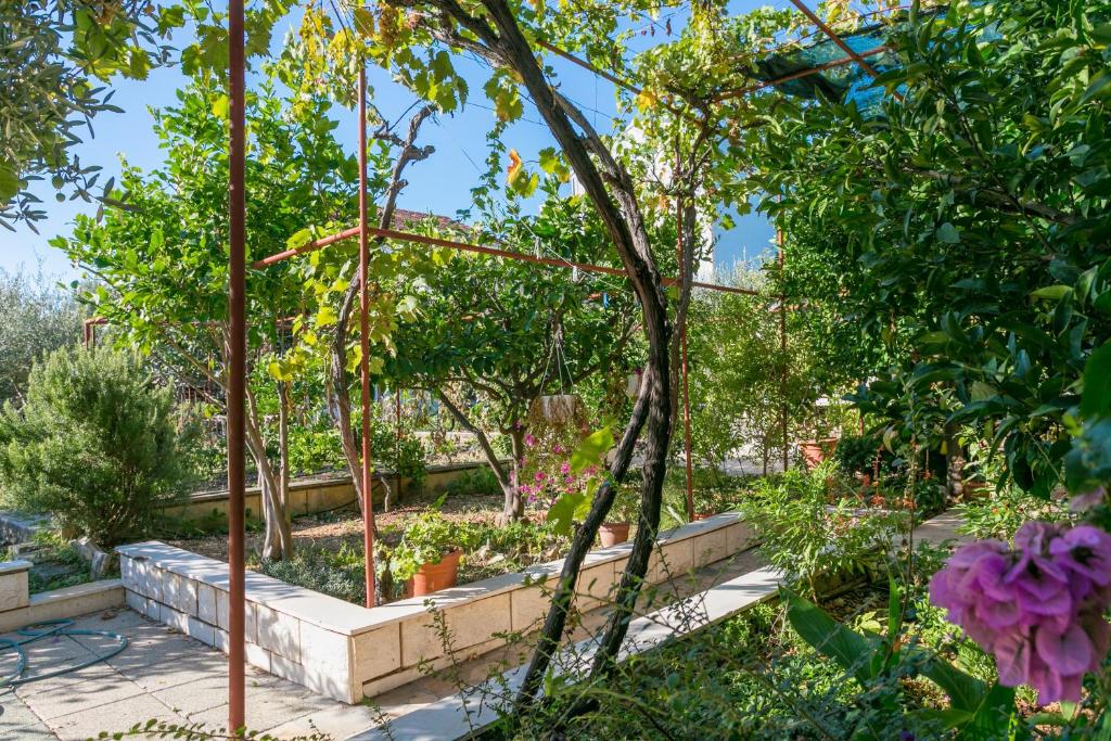 Vonkajšia záhrada v ubytovaní Apartment Seget Vranjica 1038b