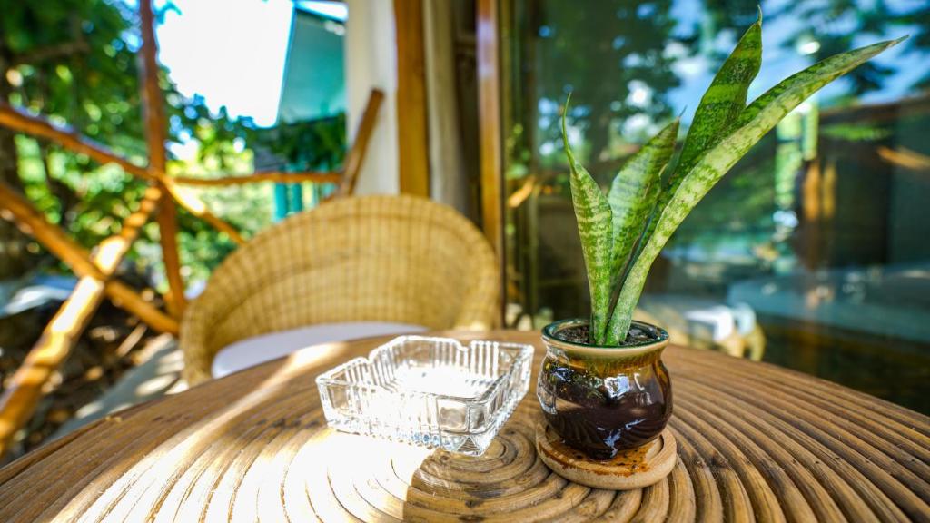 Fotografie z fotogalerie ubytování Serenity Hotel v destinaci El Nido