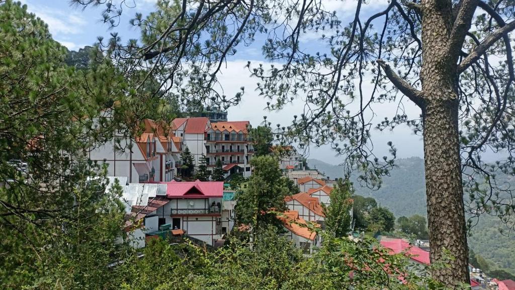 a group of buildings on a hill with trees at Kasauli Resort by Piccadily in Kasauli