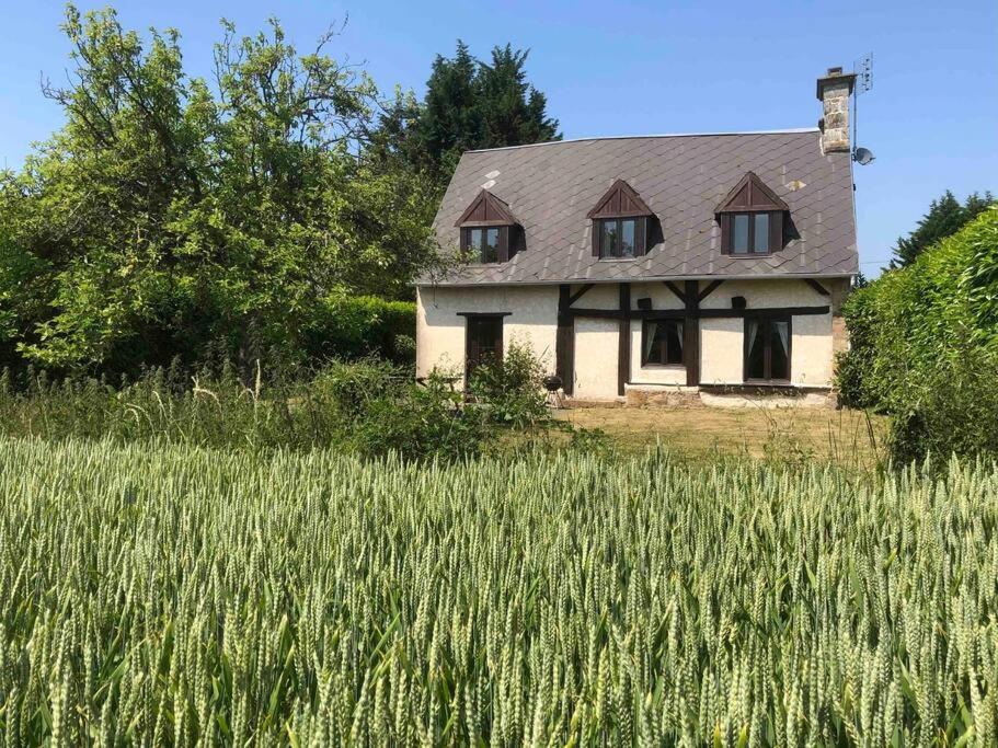 una casa vieja en un campo de hierba alta en Daisy Cottage with seasonal Swimming Pool, en Le Mesnil-Gilbert