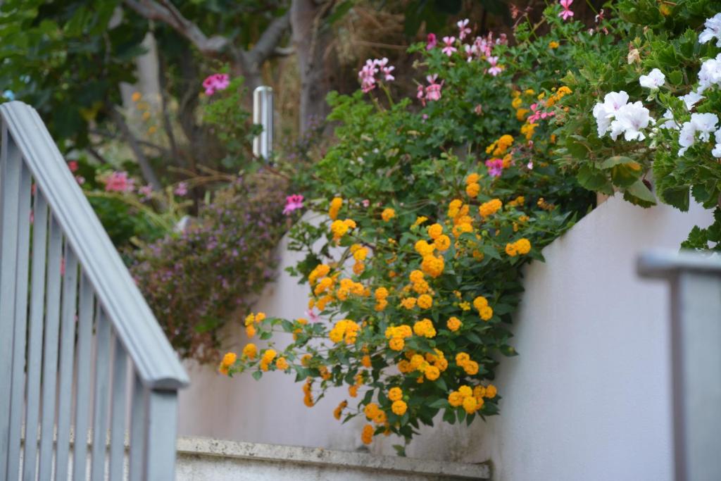 Zahrada ubytování B&B La Casa Rossa