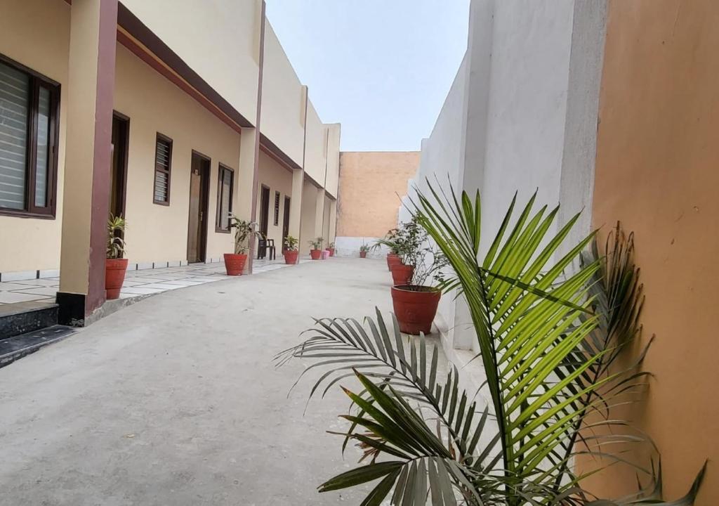 a courtyard with potted plants on the side of a building at Panipat Town House panipath in Pānīpat