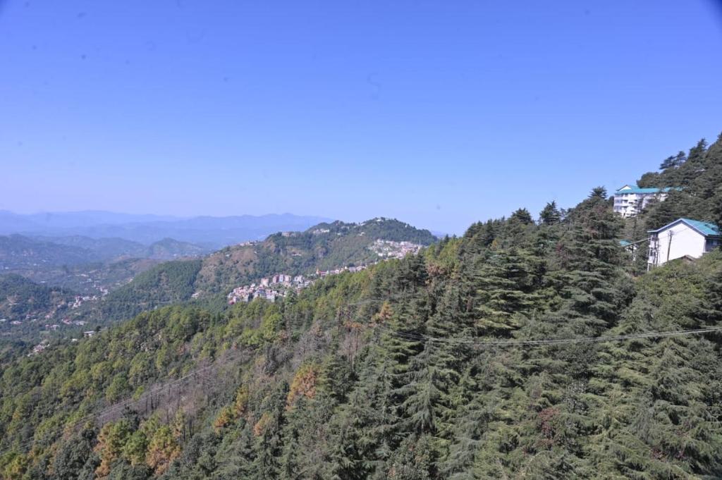 Pine Ville Shimla - King Room With Garden View