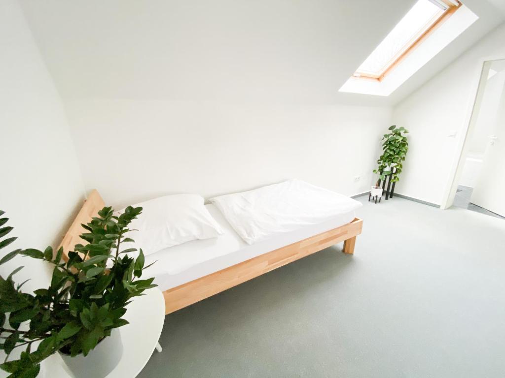 een bed in een witte kamer met potplanten bij 1-4 Pers. Moderne 2-Etagen-Wohnung - nur 0,3 km vom Zentrum in Remscheid