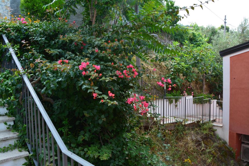 Zahrada ubytování B&B La Casa Rossa