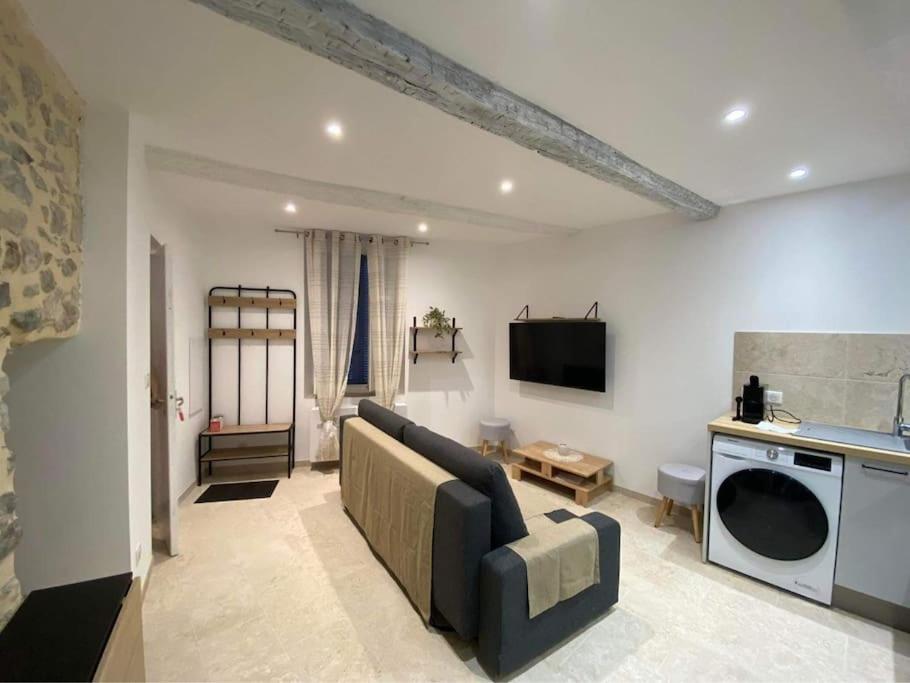 een woonkamer met een bank en een tv bij Chaleureux appartement T2 in Ceyreste