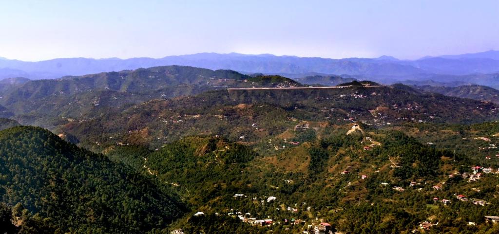 Pine Ville Shimla - Standard Double Room