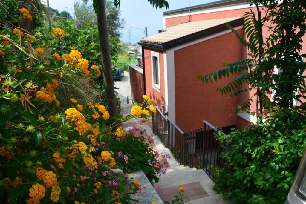 un giardino con fiori gialli accanto a un edificio di B&B La Casa Rossa a Paola