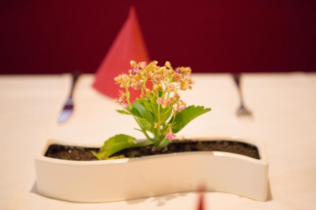 Fotografie z fotogalerie ubytování Hotel Restaurant Lathener Marsch v destinaci Lathen