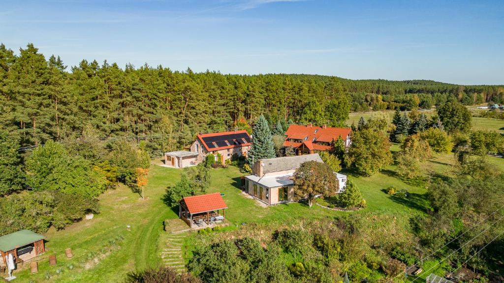 eine Luftansicht eines Hauses in einem Wald in der Unterkunft Agroturystyka Nad Wartą in Skwierzyna