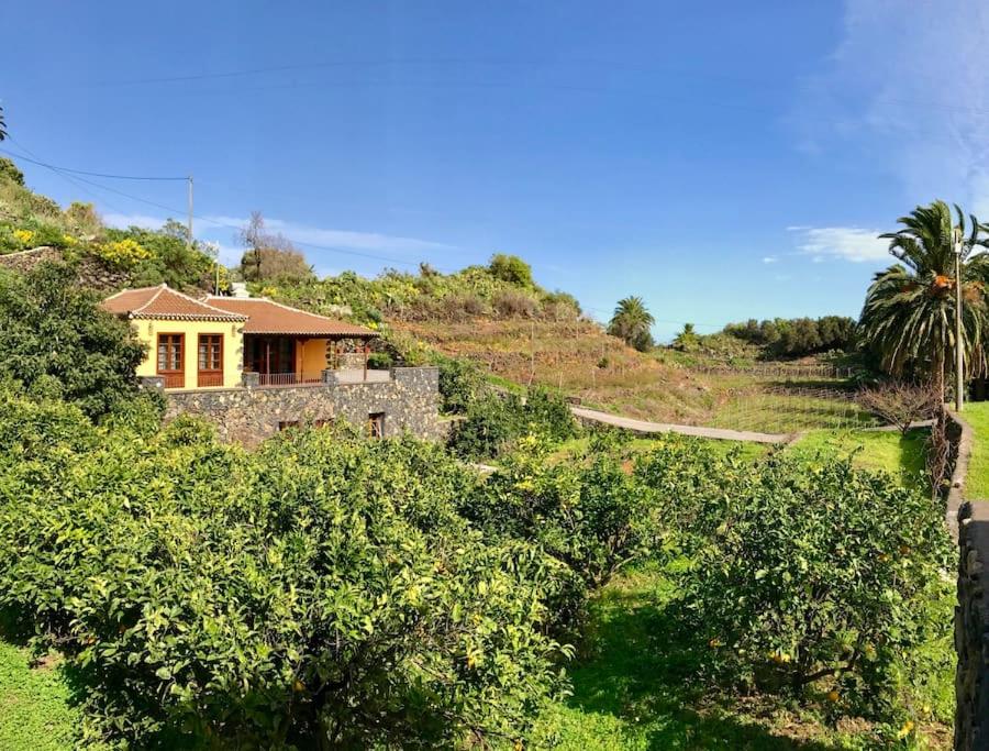 een huis bovenop een heuvel met bomen bij RUSTIC HOUSE LA MONTAÑA in Breña Baja