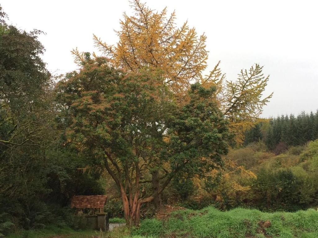 Paesaggio naturale nelle vicinanze di questo campeggio di lusso