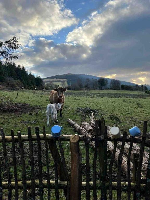 Paesaggio naturale nelle vicinanze di questo campeggio di lusso