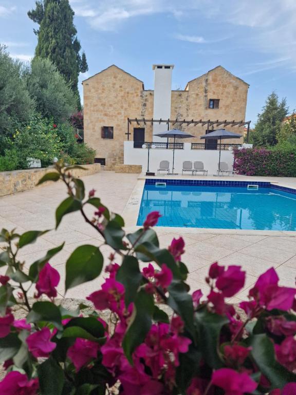 Piscina di Villa Penelope o nelle vicinanze