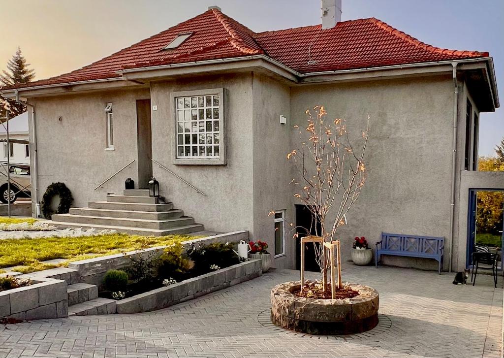 Casa Dísa Apartments A Boutique Guesthouse in Reykjavik City`s