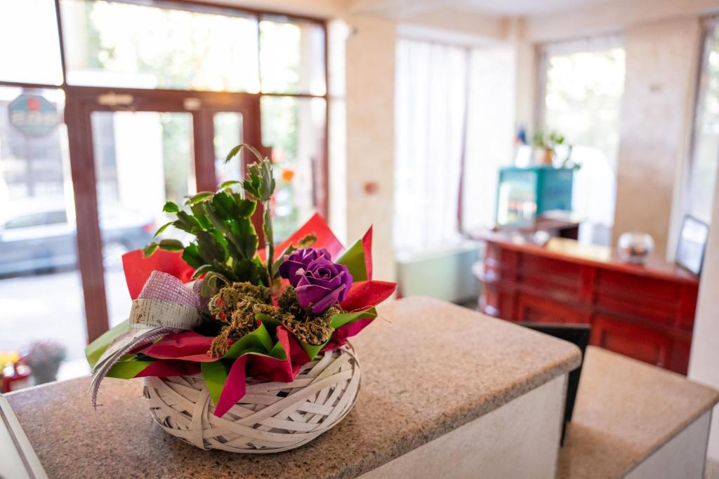 Hotel Cantemir - Resim 14