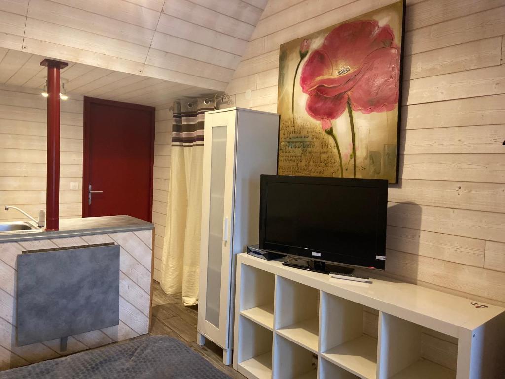 Televízia a/alebo spoločenská miestnosť v ubytovaní Studio indépendant au calme à Biarritz