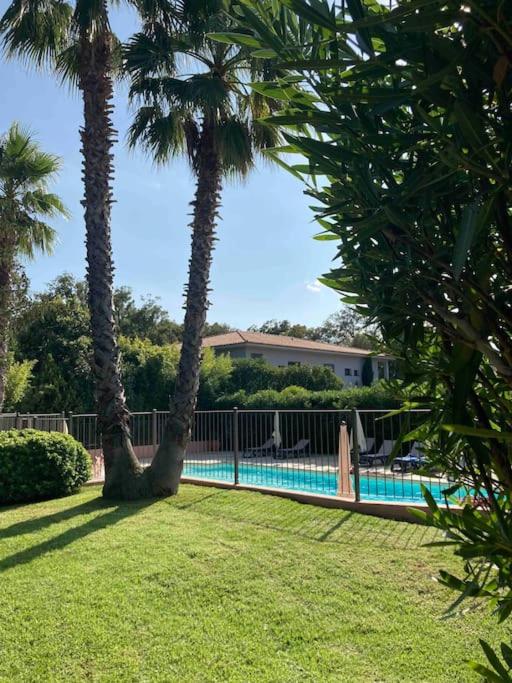 une piscine dans une cour avec des palmiers dans l'établissement Maison SAINTE LUCIE DE PORTO-VECCHIO, à Sainte-Lucie de Porto-Vecchio
