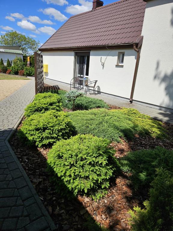 Vonkajšia záhrada v ubytovaní Cztery Kąty Apartament Wągrowiec