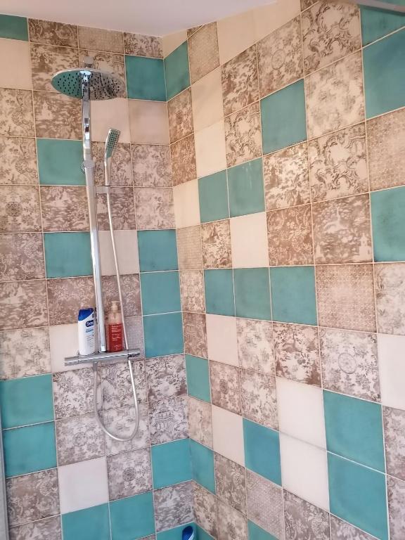 a bathroom with a shower with blue and white tiles at Loft en duplex 270 m2 &amp; Jardin patio terrasse sauna in Chaville