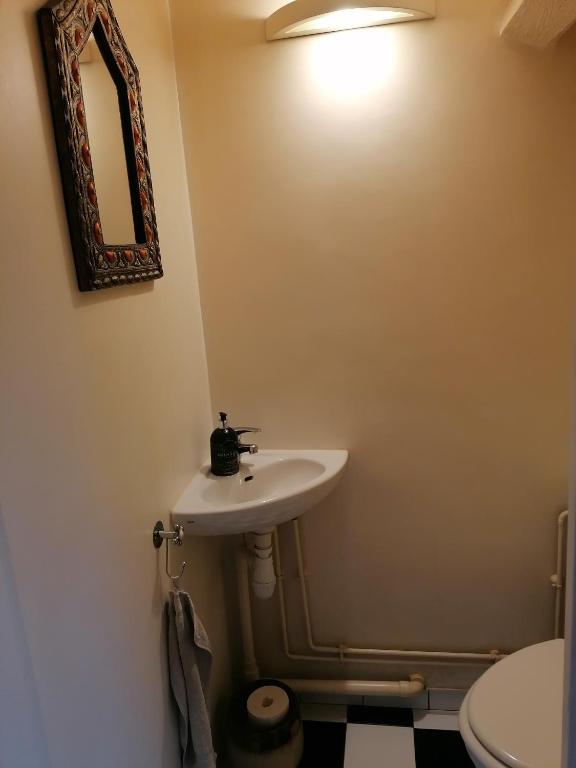 a bathroom with a sink and a mirror and a toilet at Loft en duplex 270 m2 &amp; Jardin patio terrasse sauna in Chaville