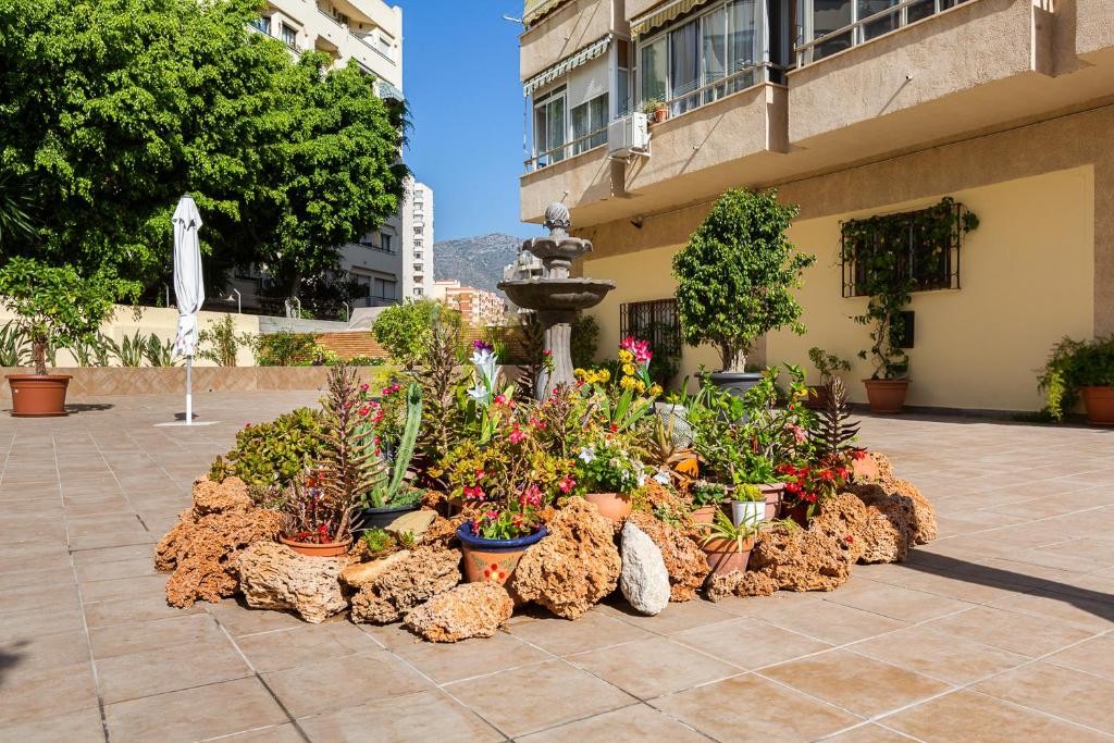 Zahrada ubytování VER1 - Terraza - 1 dorm - Wifi - Centro a 100 metros - Playa a 600 metros