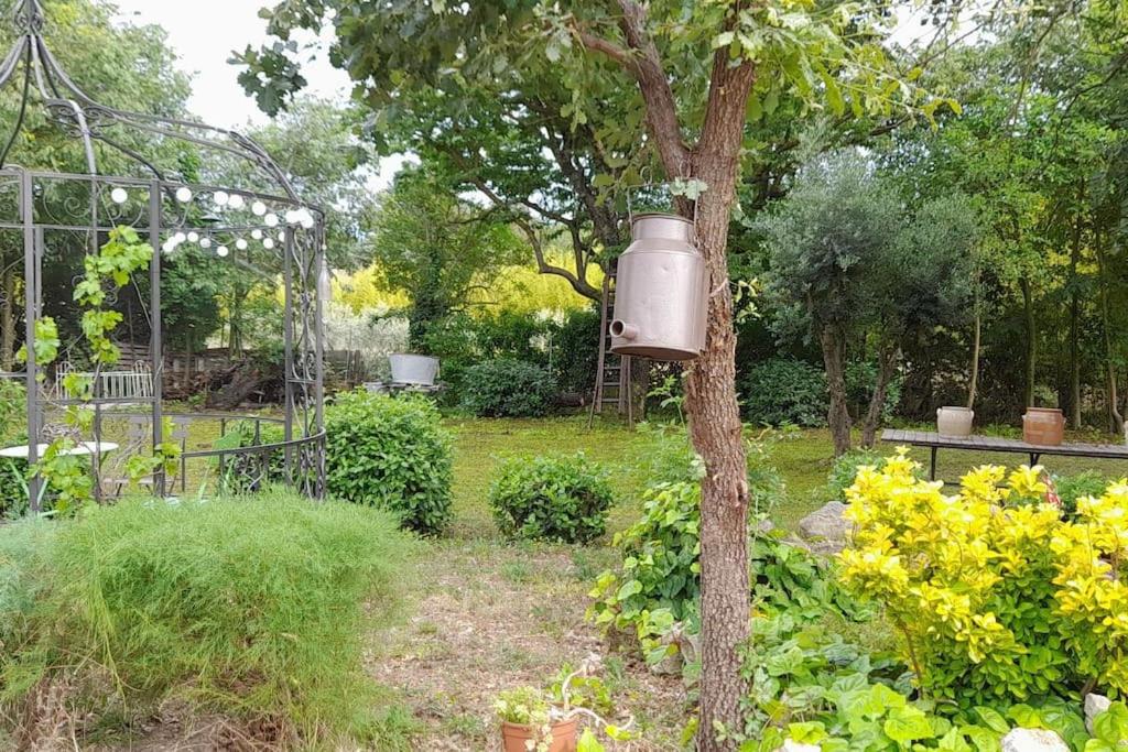 a bird feeder attached to a tree in a garden at Chambre d&#39;Hotes Lamanon, avec ou sans petit déjeuner - Domaine Les Peupliers - in Lagnes