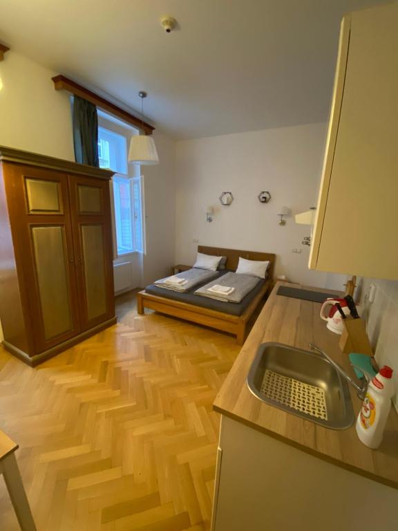 a kitchen with a sink and a bed in a room at Cosy central apartment in Žižkov in Prague