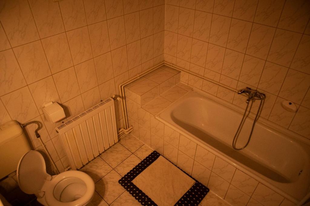 ein Badezimmer mit einem WC und einer Badewanne in der Unterkunft Pensiunea FADI in Lugoj