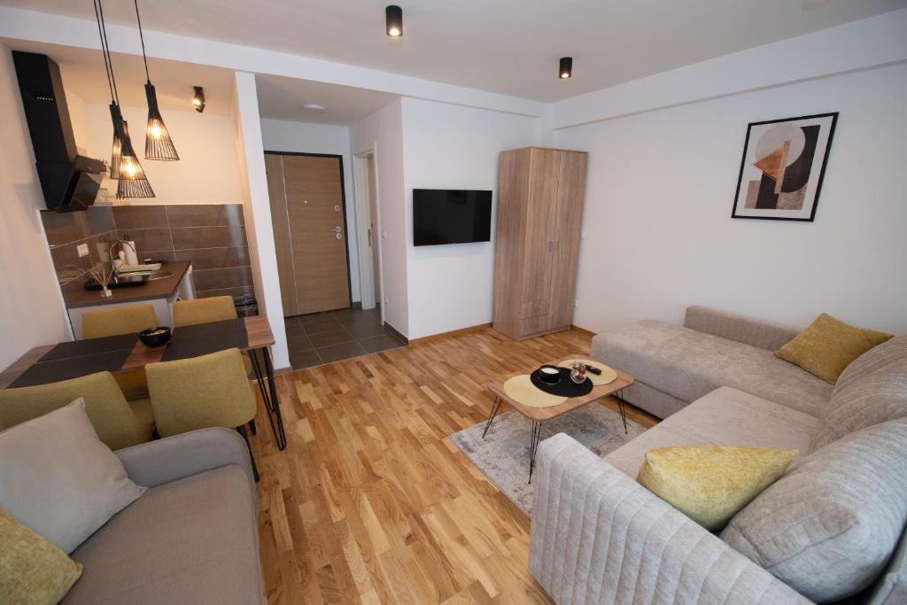 TV a/nebo společenská místnost v ubytování Petković apartmani 31 STUDIO