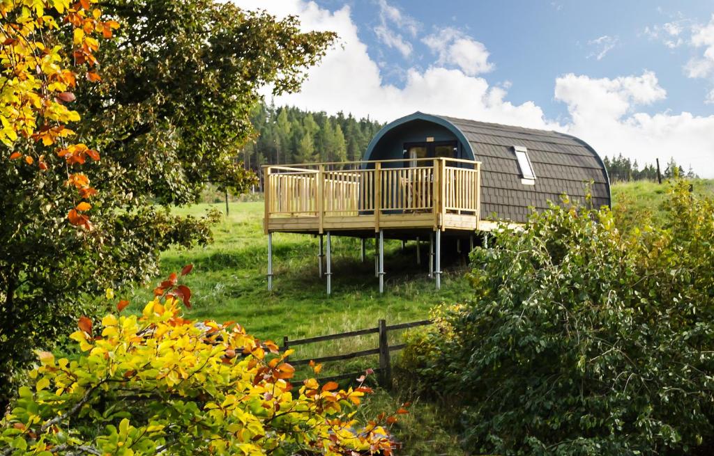 a cabin in the middle of a field with trees at Spectacular Mountain View Ecopod in Newtonmore