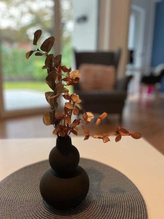 MiCasa OL - Deluxe Apartment mit Stil - Carport Stellplatz - Küche - WLAN - 3,7 KW Steckdose für E Auto - Terrasse - 13